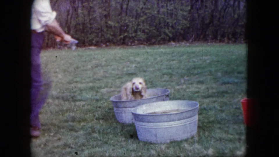 The puppy looks out from a metal tub on the grass as the man moves partly out of frame, holding a small object or cloth near the tub.