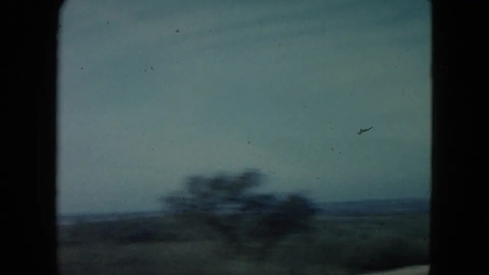1960 Nevada home-movie frame with motion-blurred roadside brush or a small tree against distant desert and sky.