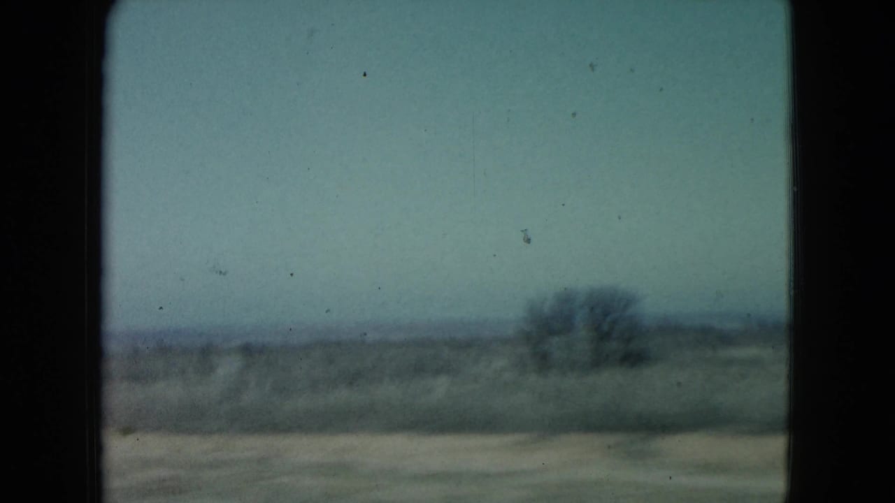 Flat open field with a distant shrub line beneath a pale sky.