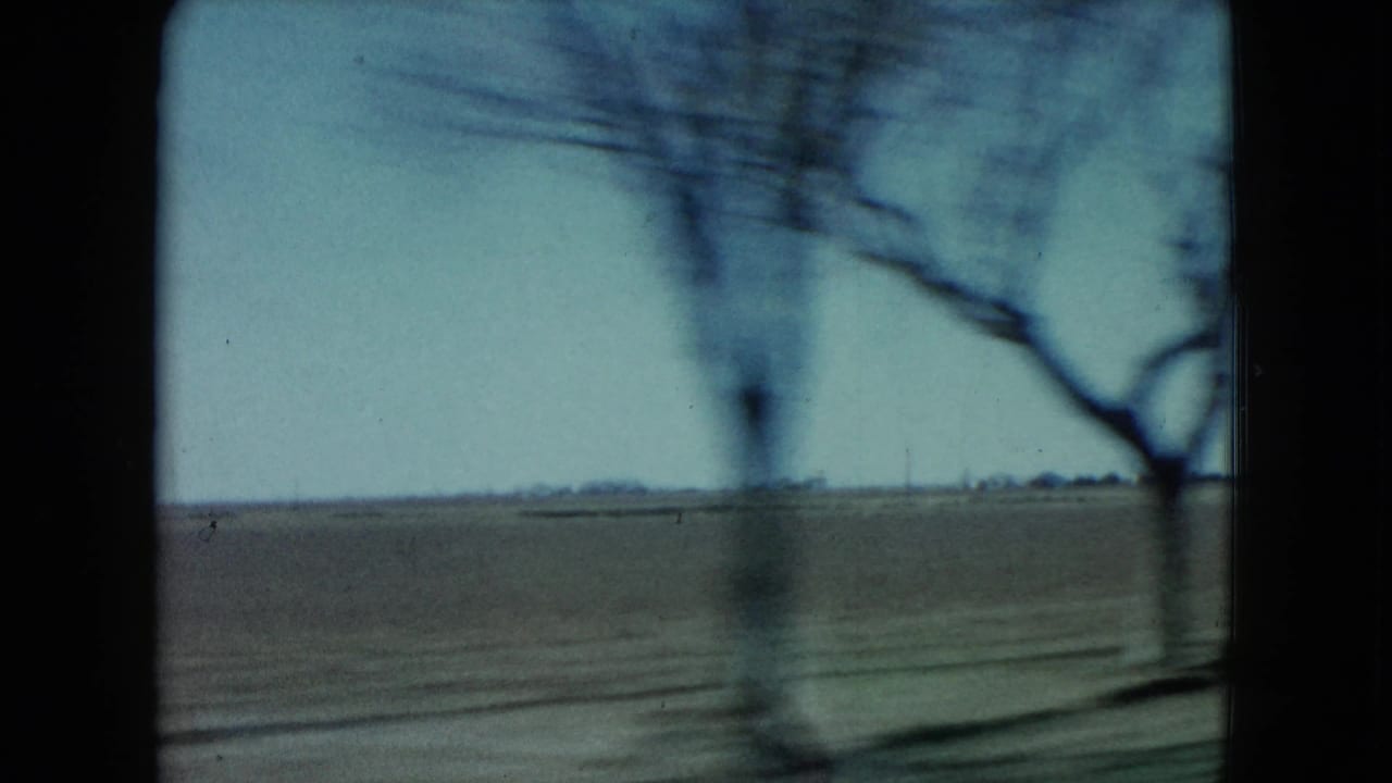 Blurred bare tree passes in front of open land seen from inside a car.