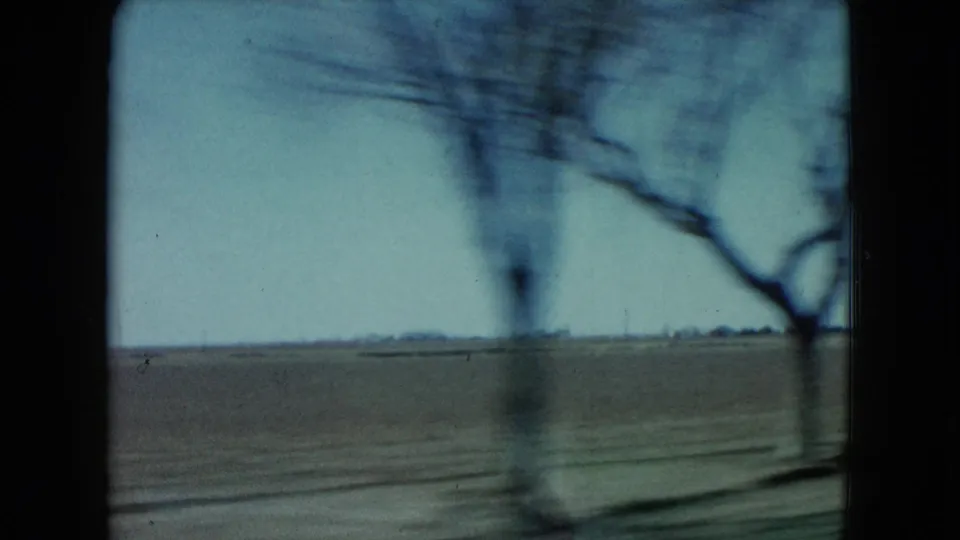 Moving-car view in Nevada with a blurred roadside tree crossing the frame over flat arid land and pale sky.