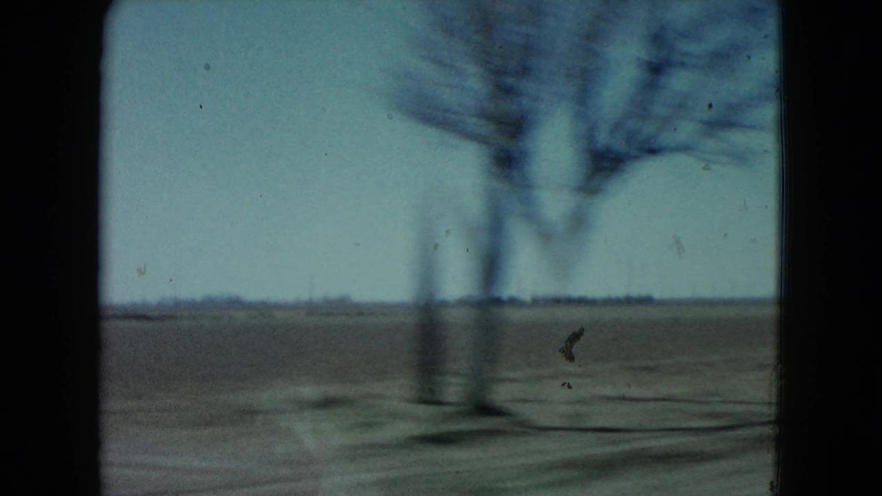1960 Nevada road footage showing a leafless tree blurred by car movement, with open land and a low horizon beyond.