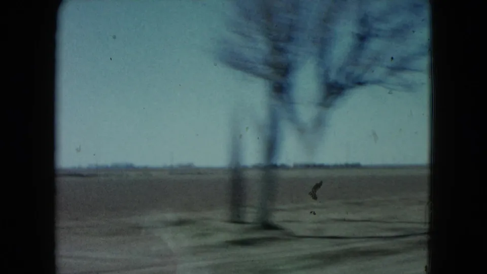 1960 Nevada road footage showing a leafless tree blurred by car movement, with open land and a low horizon beyond.