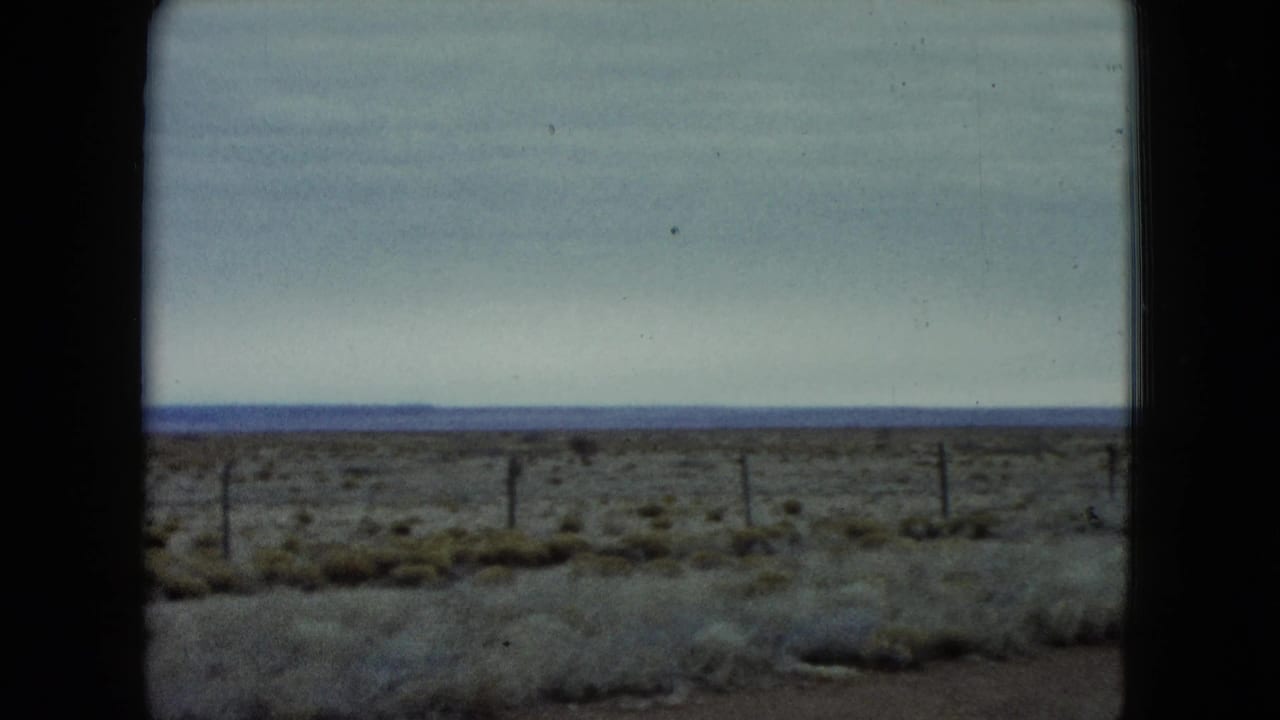 Open scrubland with fence posts crossing the frame below a pale cloudy sky.