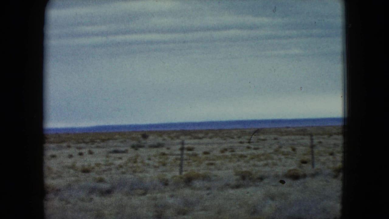 Desert scrubland with fence posts under a pale sky and distant horizon.