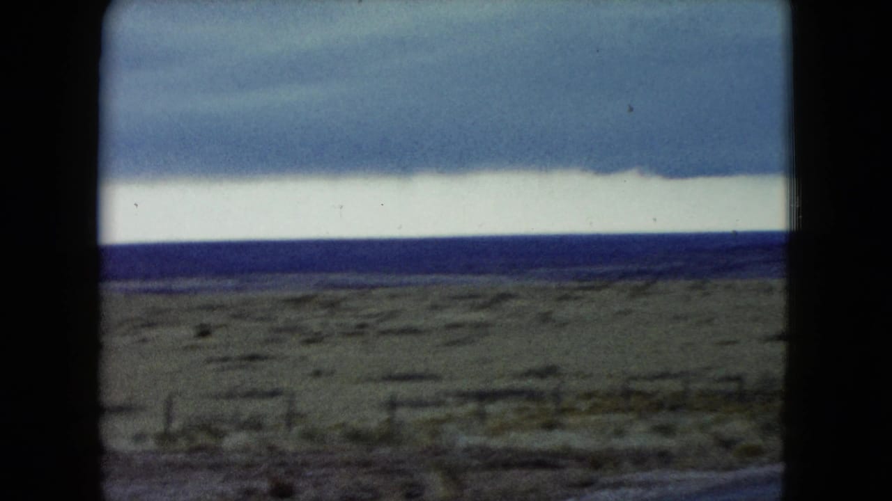 Flat prairie behind a barbed wire fence under a cloudy sky, with distant cattle barely visible.
