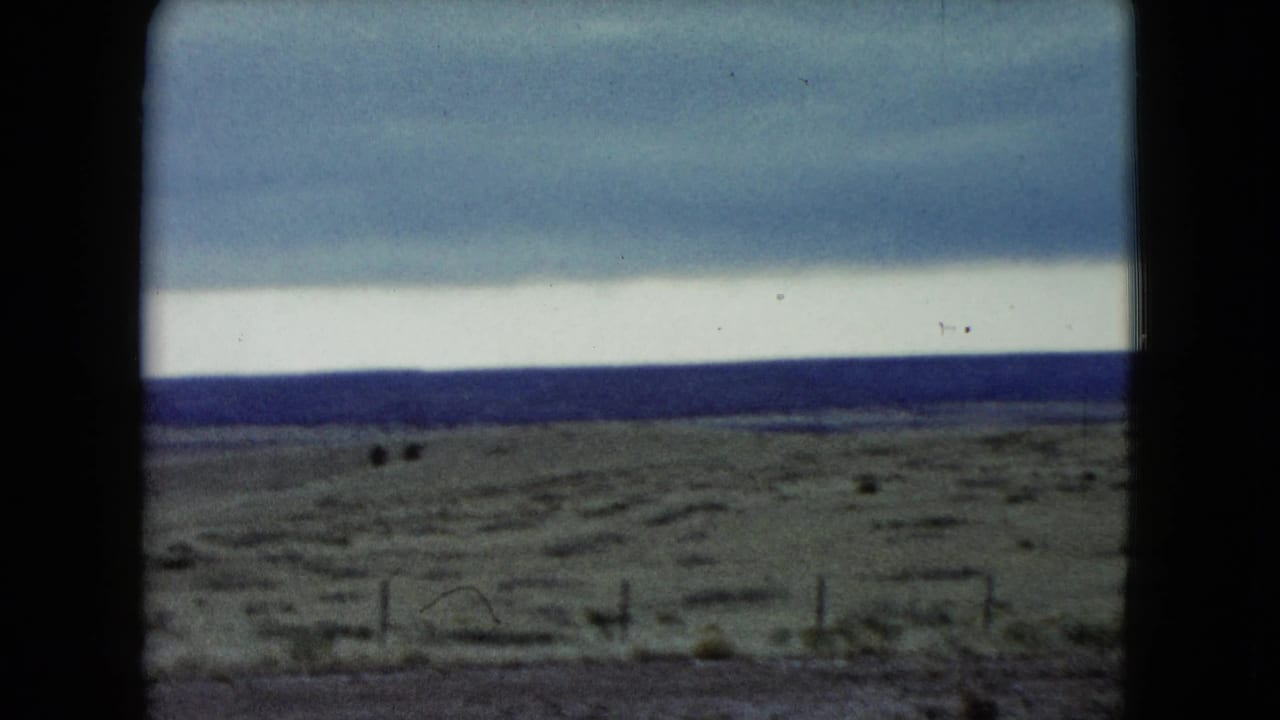1960 Nevada prairie view with low fence line, distant grazing cows, muted horizon, and cloudy sky in a home-movie frame.