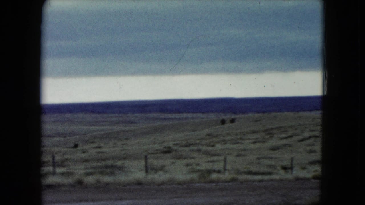 1960 Nevada 8mm frame of fenced arid prairie with two distant cattle shapes, soft focus, and overcast sky.