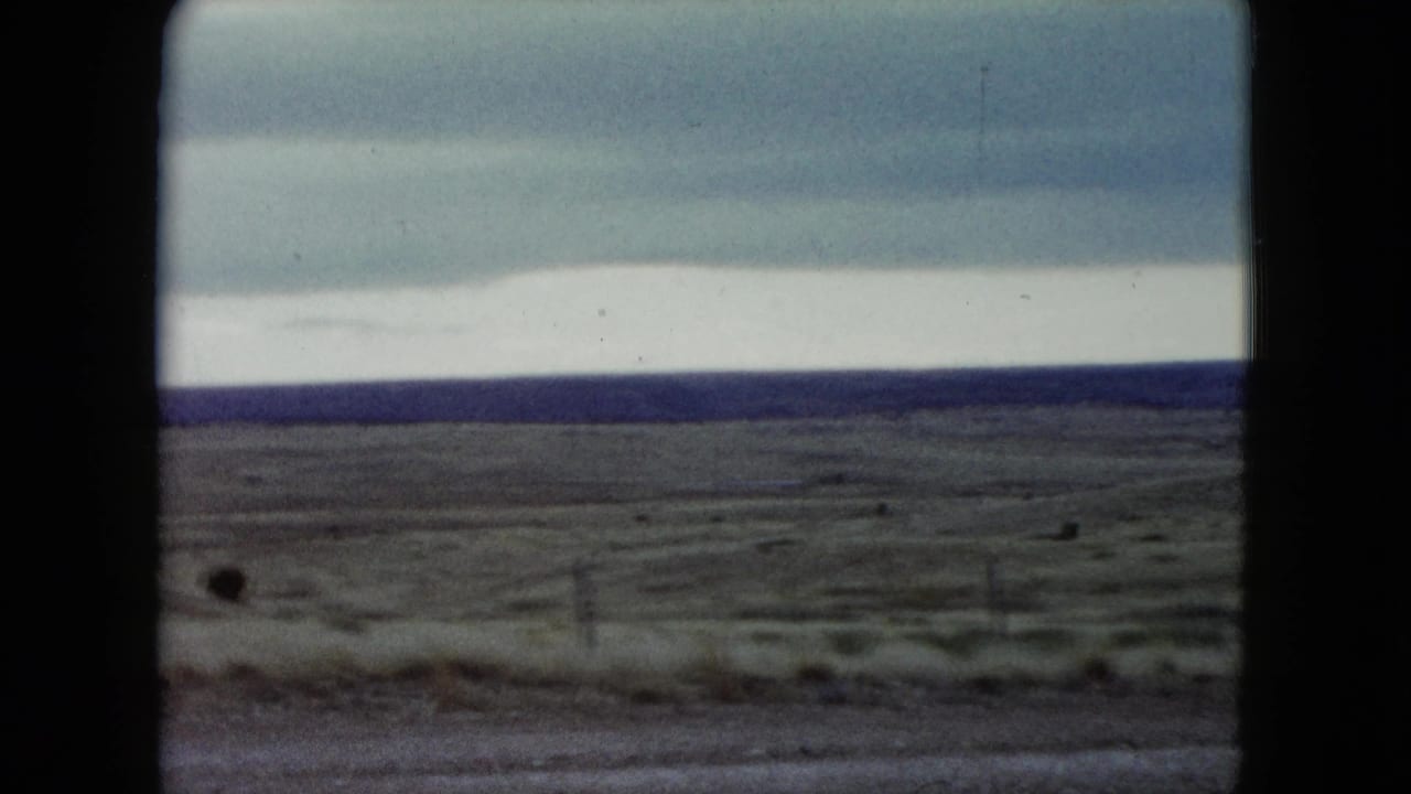 Dry open grassland under a cloudy sky with a low fence and distant flat horizon.
