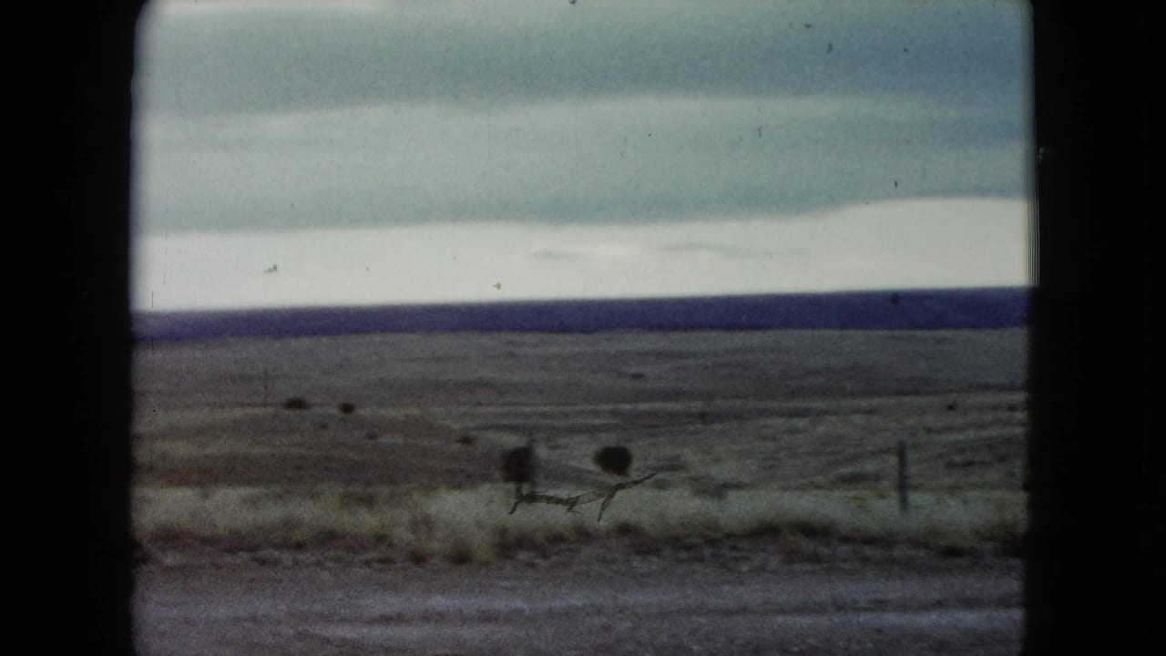 Sparse grassland with fence posts, roadside brush, and a cloudy horizon.