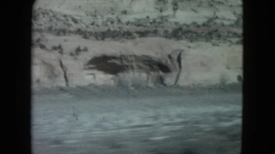 Close 8mm passenger-side view of a pale Nevada roadside cliff with scrub and a dark recess in the rock.