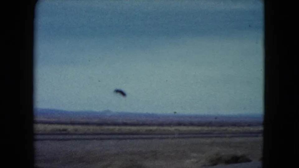 A bird crosses the pale sky over a flat Nevada desert view, with distant hills and sparse vegetation below.