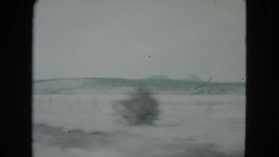 1960 Nevada 8mm frame of open desert, a blurred roadside shrub, and low distant hills viewed from a moving vehicle.