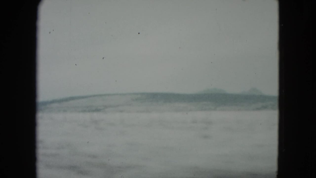 Snow-covered open ground with distant low hills under a pale gray sky.