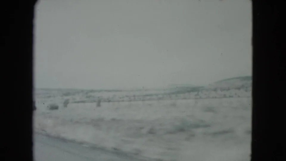 Passenger-view 8mm frame of an open Nevada desert roadside, with low hills and sparse vegetation under a pale sky.