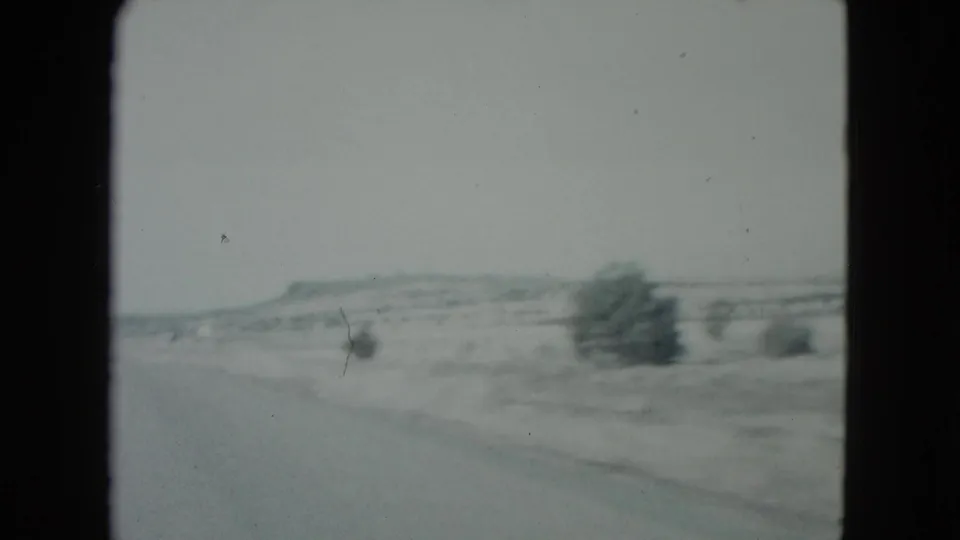 Moving vehicle view of Nevada desert terrain, with motion-blurred shrubs and a darker tree shape near the roadside.