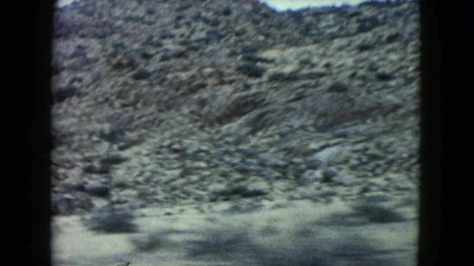 1960 Nevada road-trip frame showing a rocky hillside and sparse desert plants from a passing vehicle.
