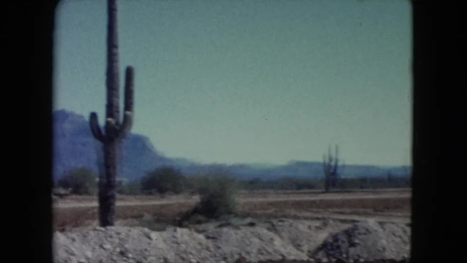 1960 Nevada desert view with a tall cactus in the foreground, open arid land, distant cacti, mountains, and broad sky.