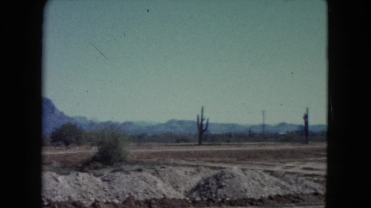 Desert plain with tall cactus silhouettes and distant mountains under a pale sky.