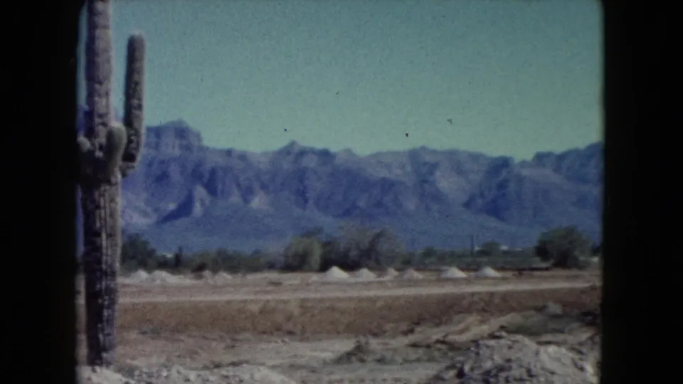 1960 8mm Nevada desert view with a tall cactus in the foreground, low shrubs, pale mounds, and mountains behind.