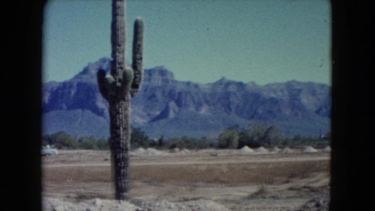 Tall cactus in a dry desert foreground with mountains in the distance.