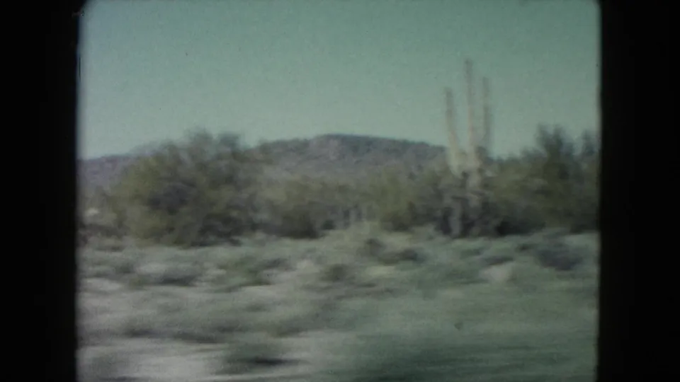 A tall cactus-like desert plant appears among shrubs with low Nevada hills behind it in a 1960 8mm frame.