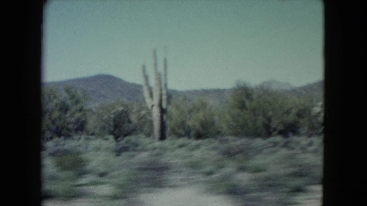 Desert roadside with tall cacti, shrubs, distant hills, and 8mm frame edges.
