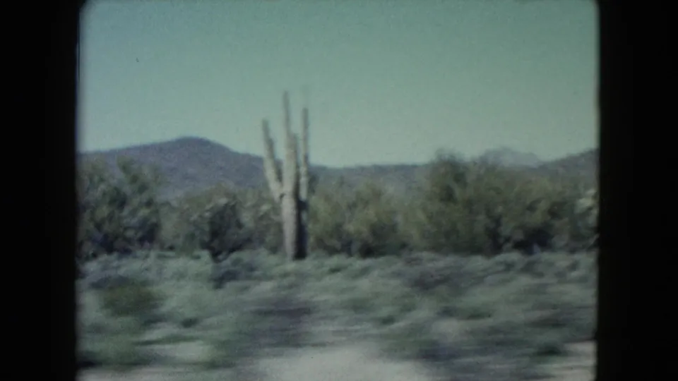 1960 Nevada 8mm frame showing desert shrubs, tall cacti, sandy ground, and low mountains beyond a moving roadside view.