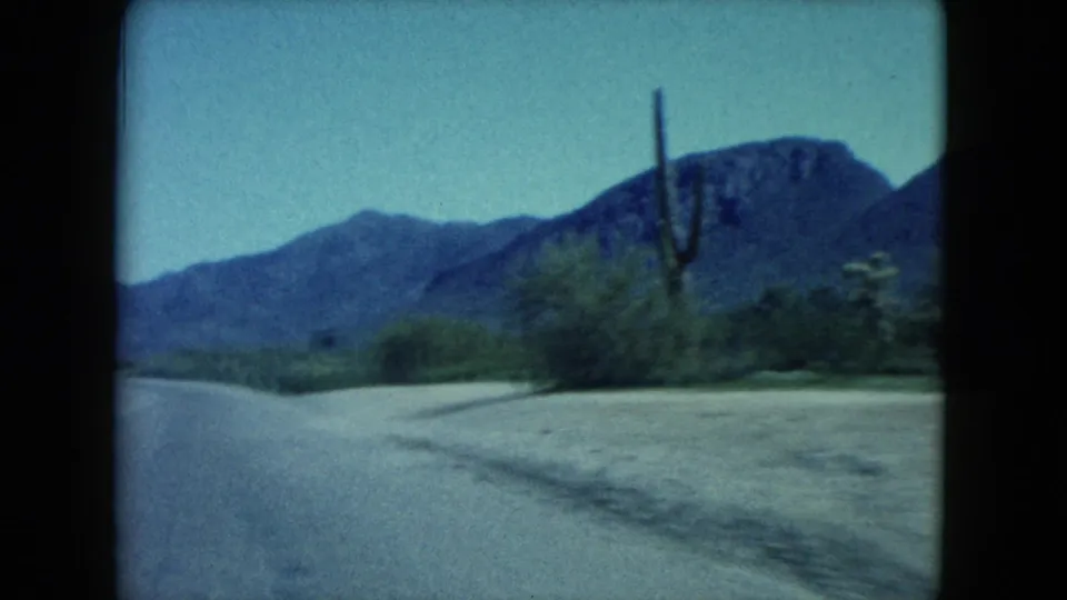 1960 Nevada 8mm frame showing a road edge, desert vegetation, a tall cactus, and mountain ridges from a moving-car viewpoint.