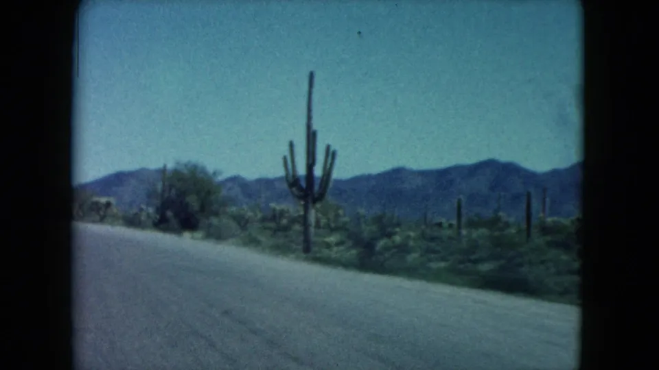 1960s 8mm roadside view of a tall cactus and desert vegetation along a Nevada highway.