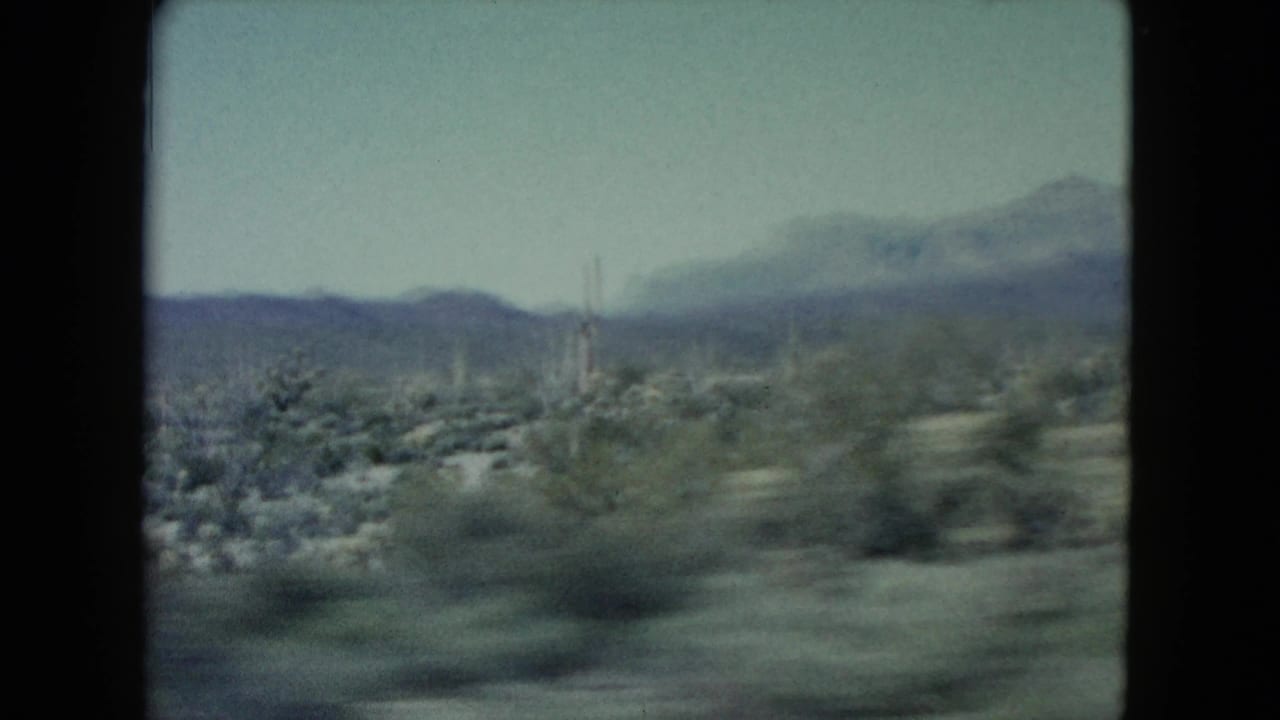 1960 8mm road footage showing blurred desert vegetation, tall cactus or Joshua-tree-like forms, and low Nevada mountains under a pale sky.
