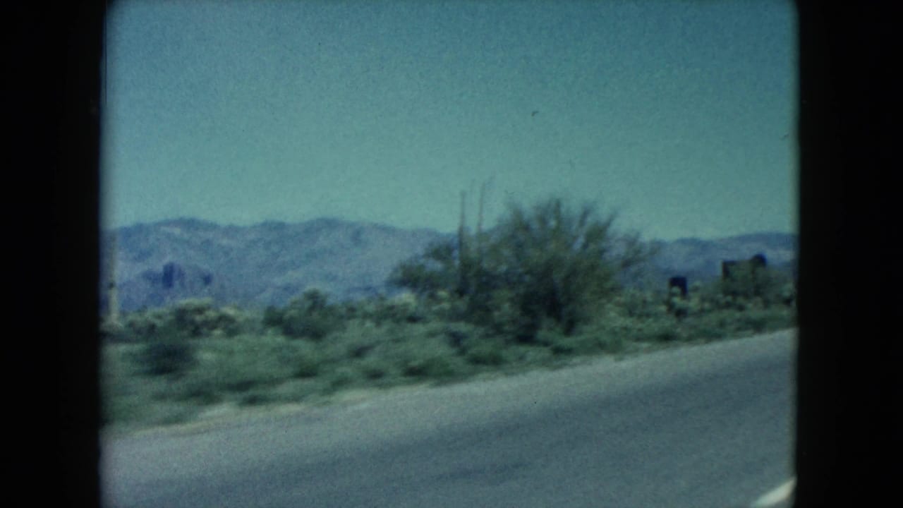 Desert shrubs and tall cacti beside a road with mountains in the distance.