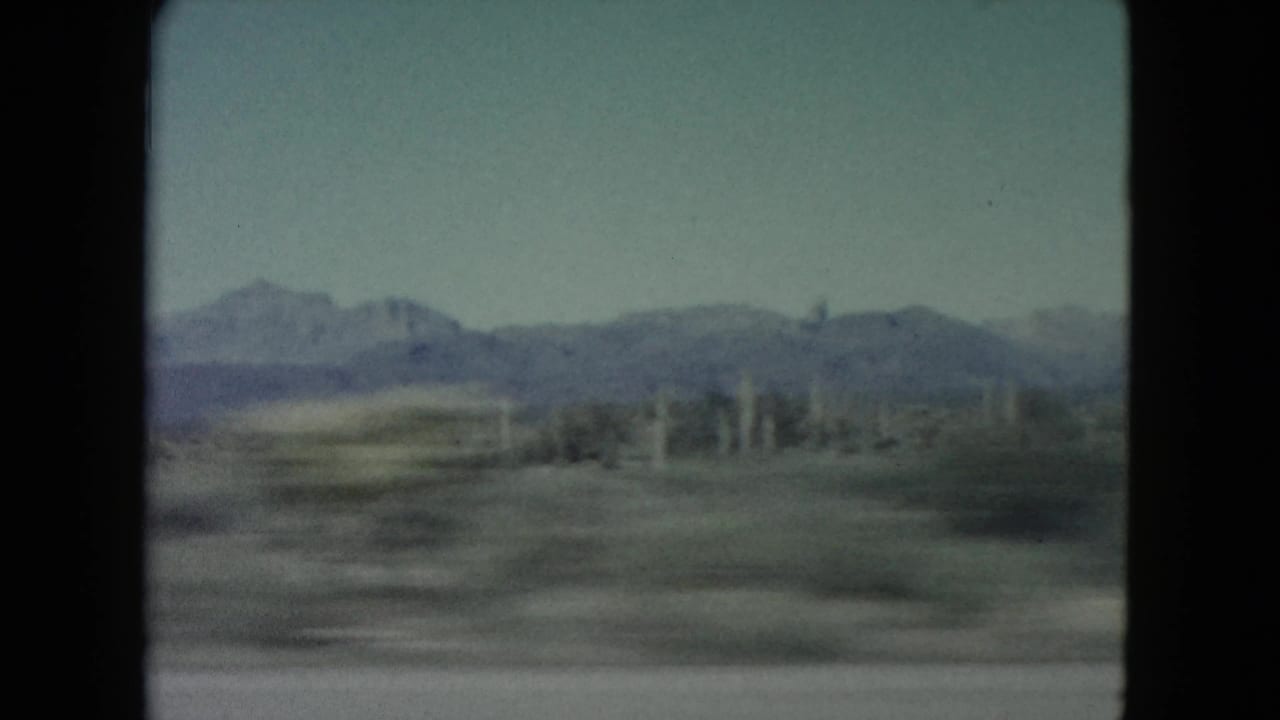 Desert landscape seen from a moving vehicle with distant mountains and sparse roadside vegetation.