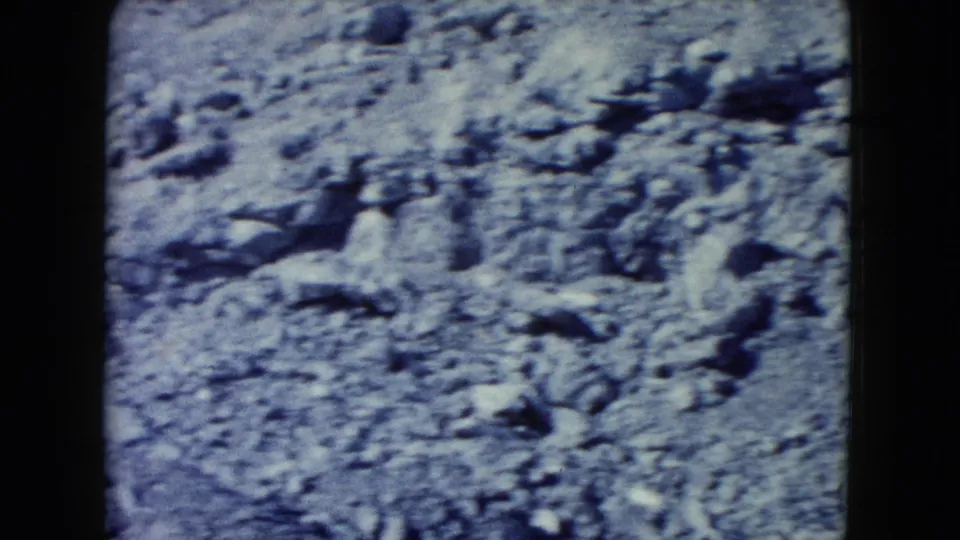 Close view of uneven rocky desert terrain in archival 8mm footage, supported as Nevada by clip metadata.
