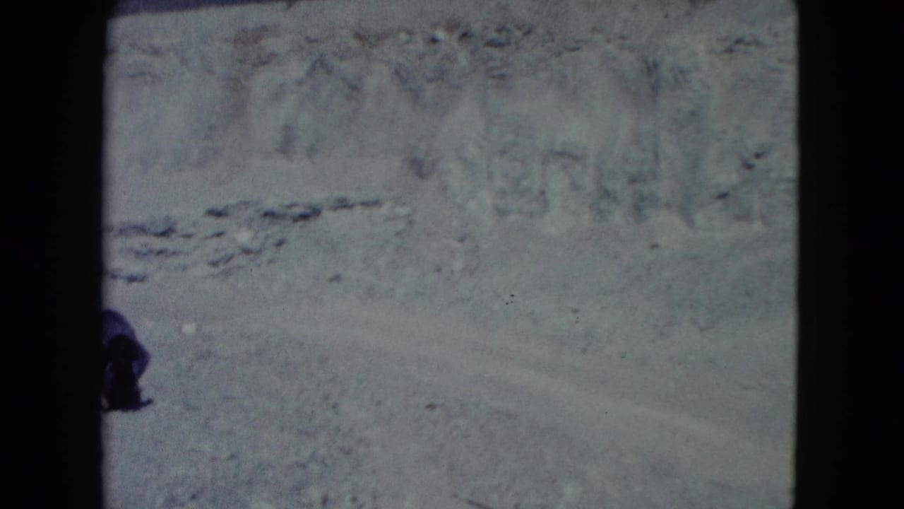 The final frame holds on barren Nevada desert terrain, with only a partial person visible near the edge.