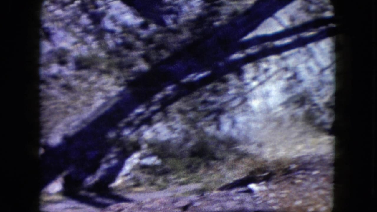 Rocky Nevada canyon terrain appears through a dark-edged 8mm frame, with sparse desert vegetation and blurred motion.