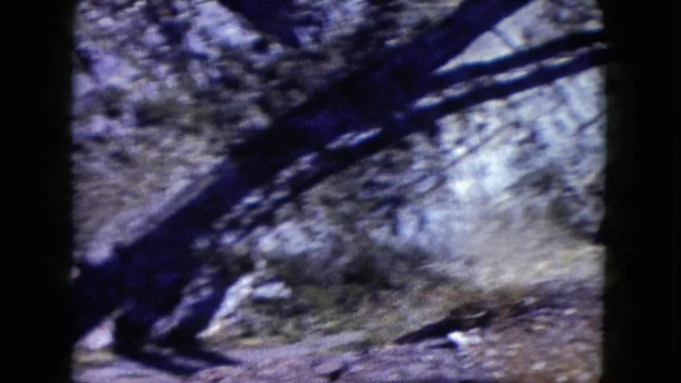 Rocky Nevada canyon terrain appears through a dark-edged 8mm frame, with sparse desert vegetation and blurred motion.