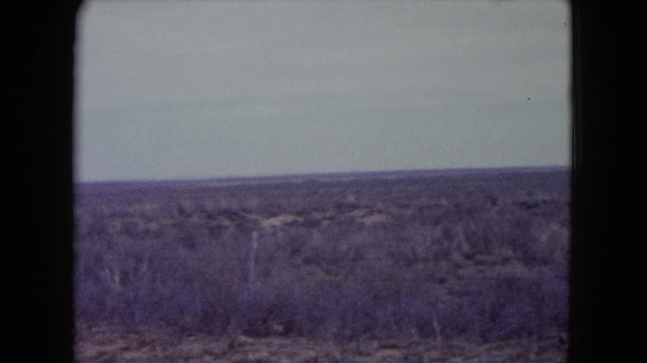 Dry scrubland under a pale sky with a low, flat horizon.