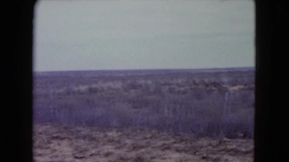 1960 Nevada home-movie frame with dry brush, scattered low trees, and a flat horizon under washed pale sky.