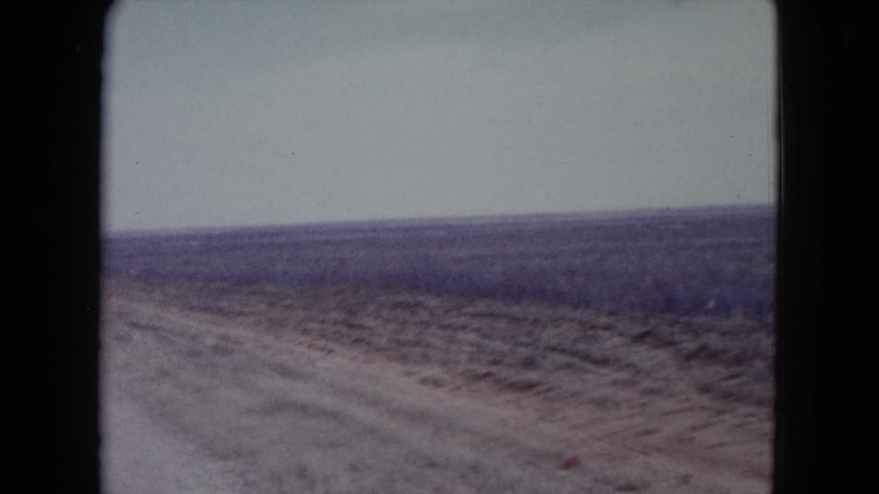 Flat desert plain and dirt shoulder beside a road under a pale sky.