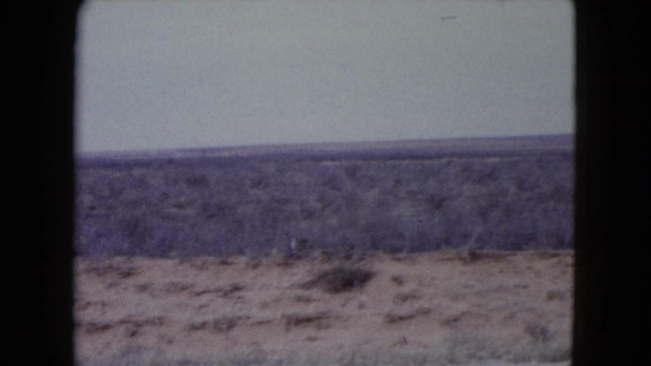 Dry scrubland under a pale sky with dark 8mm frame borders.