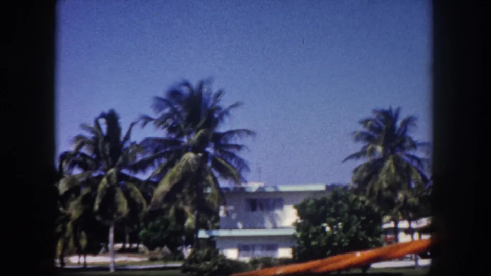 1960 Tampa neighborhood exterior with palms, a white low-roofed house, shrubs, and clear blue sky in soft 8mm color.