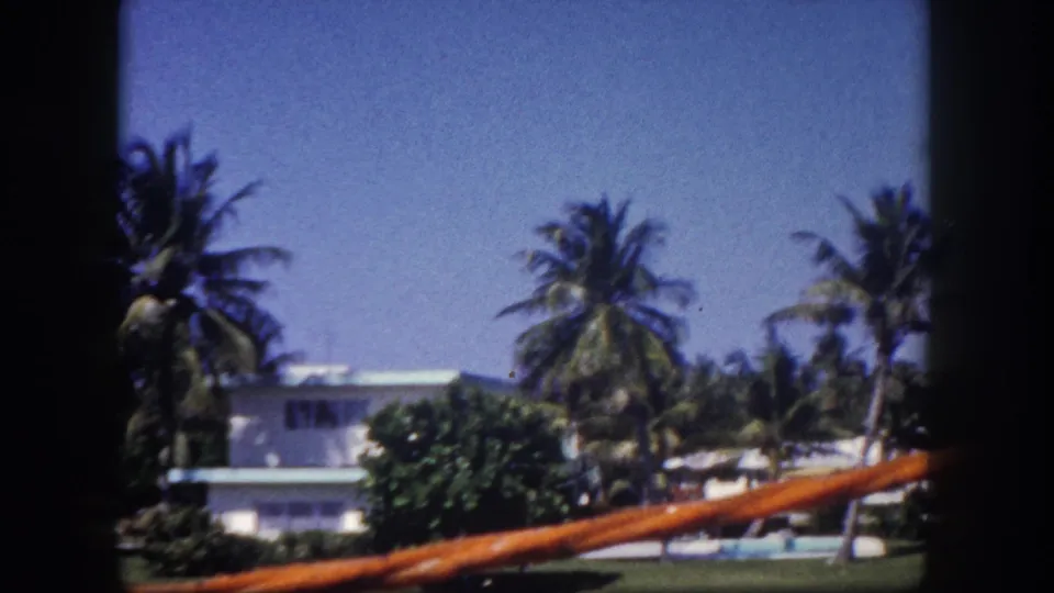 1960 Tampa residential view showing a white house, palms, lawn, blue sky, and an orange foreground obstruction across the frame.