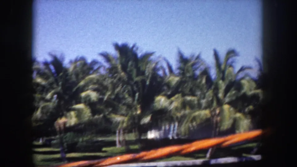 1960 Tampa home-movie frame showing dense palms, a green waterfront lawn, and traces of water through the trees.
