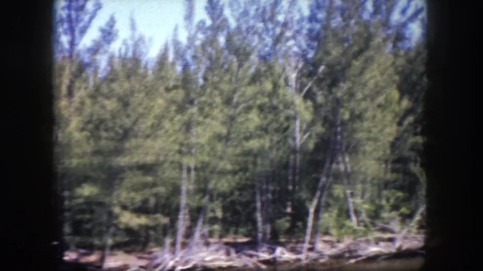 1960 Tampa home-movie frame showing a wooded shoreline and calm water after the waterfront boat views.