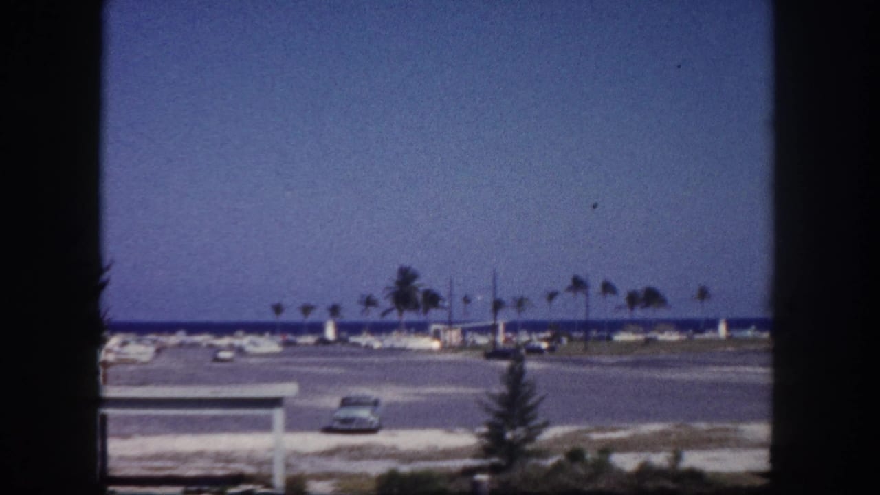 Waterfront road with classic car, palms, and open water beyond a dark window frame.