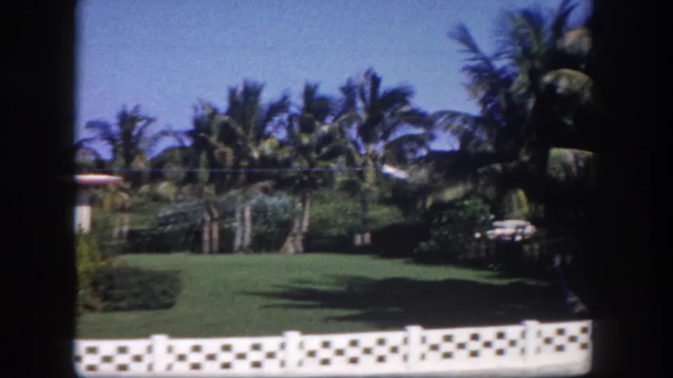 1960 Tampa frame of a tropical residential lawn with palms, white patterned fence, partial house, and a parked car at the edge.