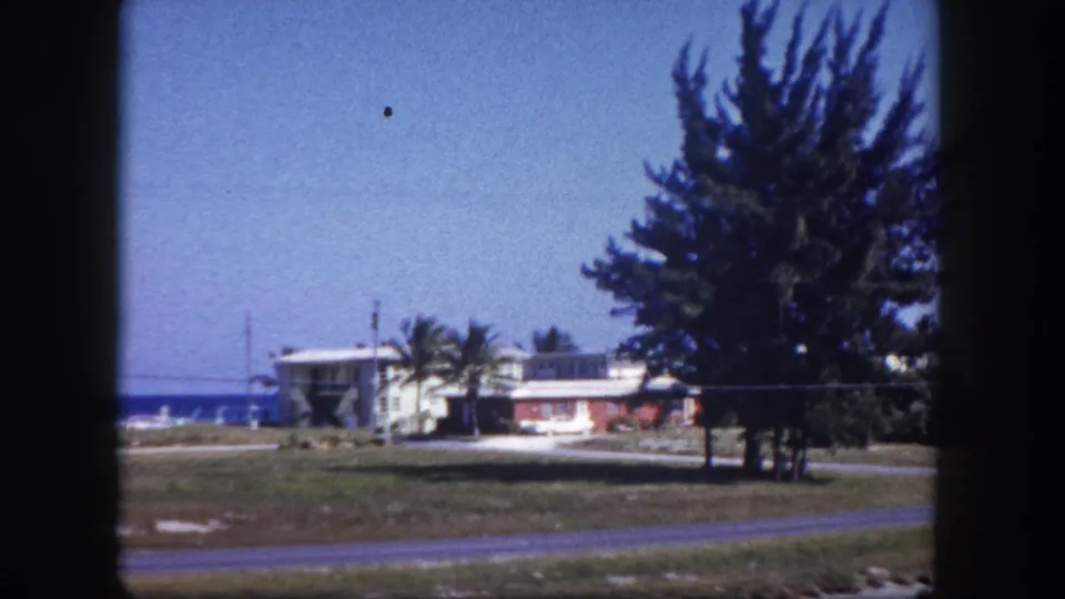 1960 Tampa coastal frame showing low beachfront buildings, roadside grass, a large tree, distant water, and open blue sky.