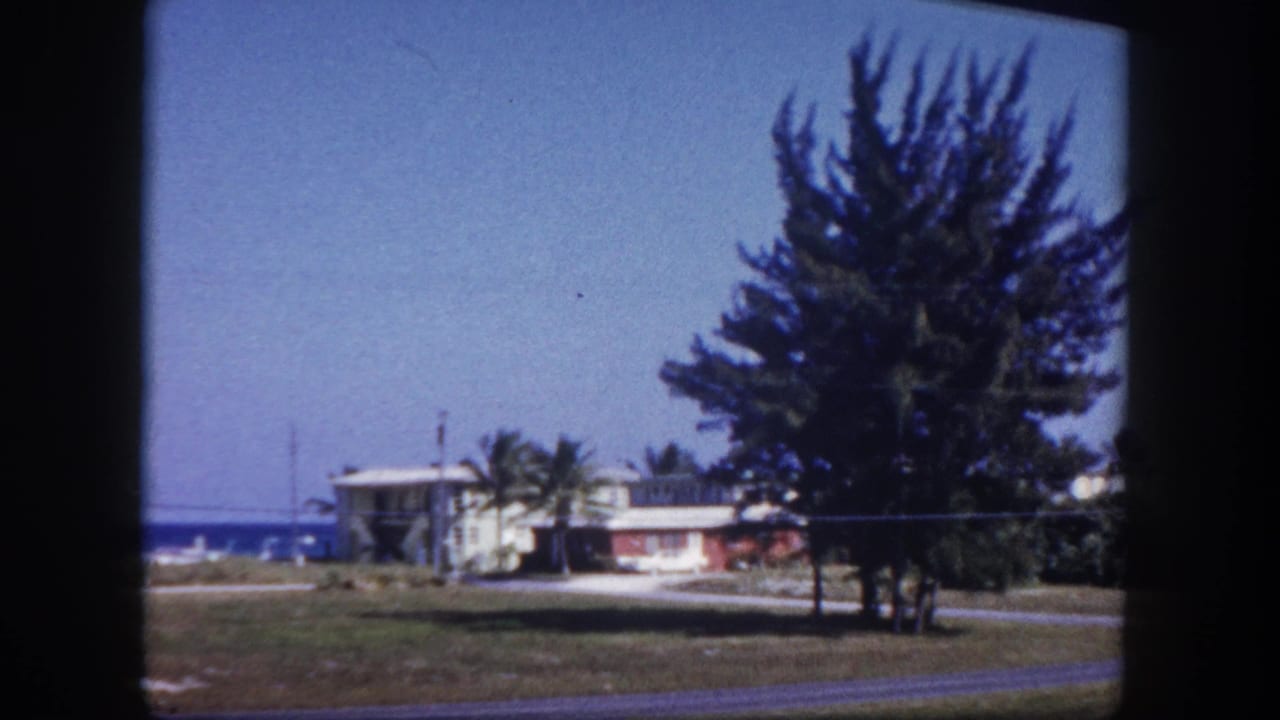 Coastal street with low houses, lawn, large tree, palms, and blue water beyond.