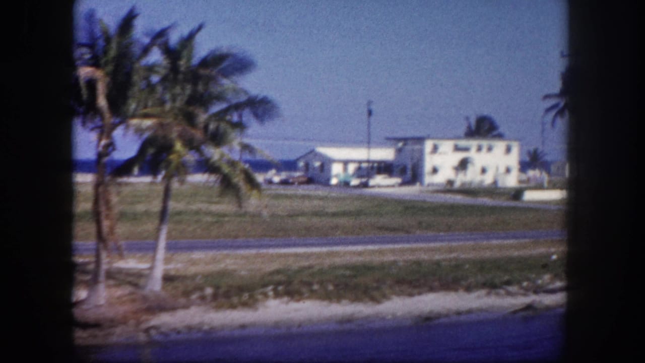 Palm trees beside a road with low-rise buildings, blue sky, and distant water.